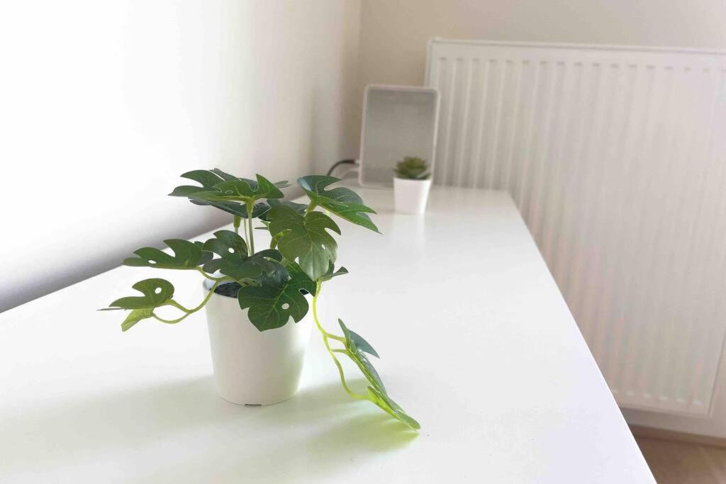 Modern & Sunny 52m2 With Balcony & Fast Wifi Viena
